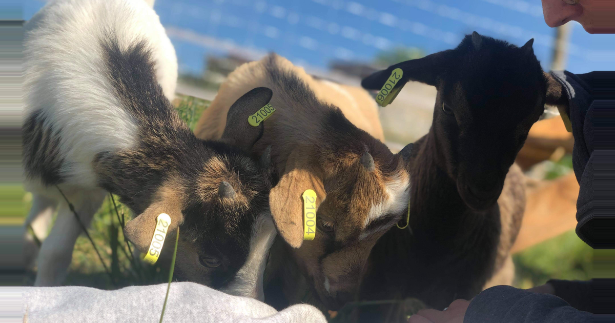 Réservation visite guidée thumbnail