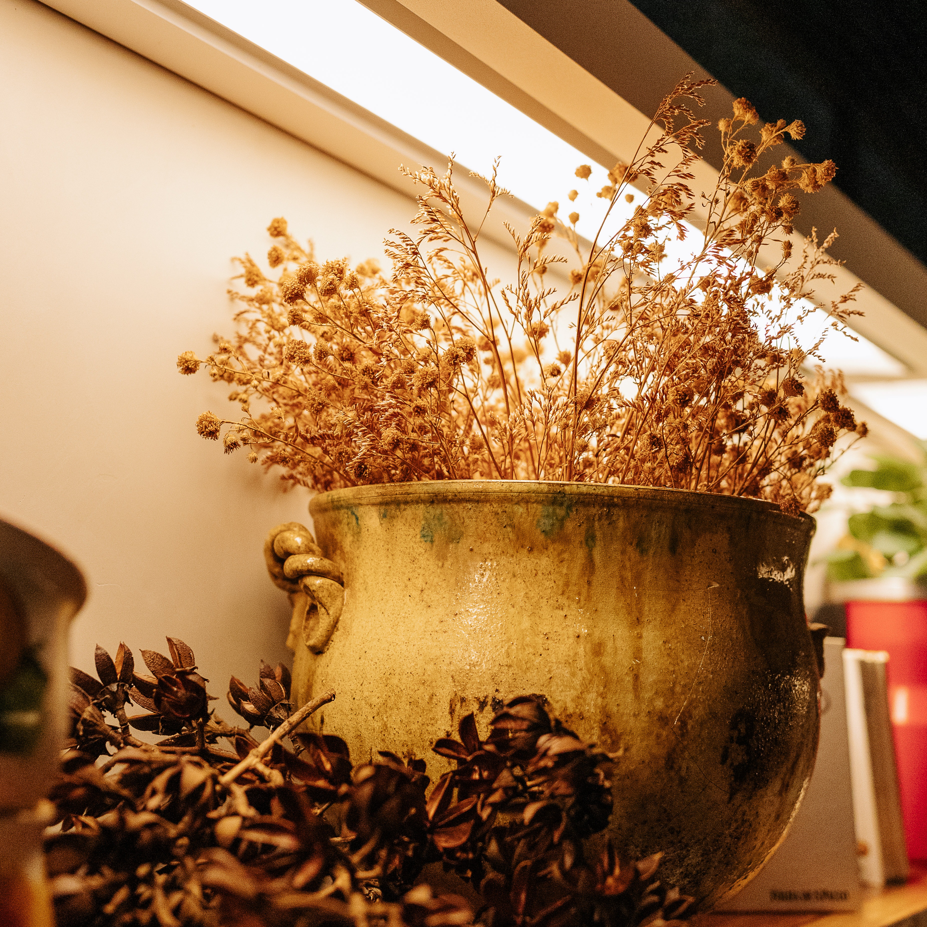 Avalie sua experiência no Soleil thumbnail