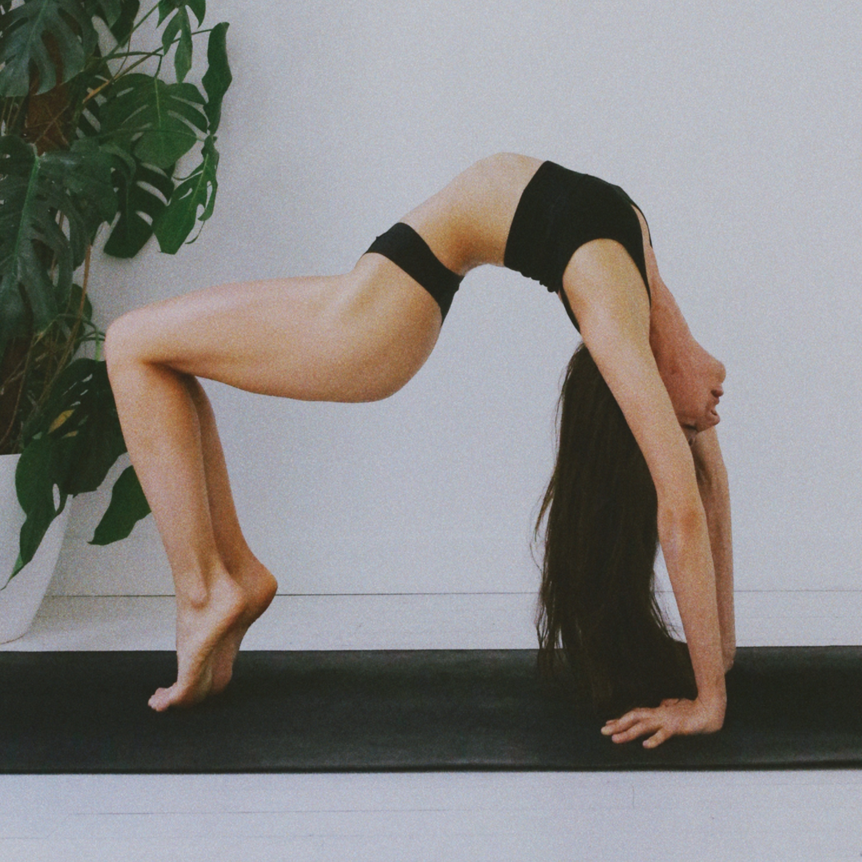 15-hour Online Flexibility Training 🇬🇧 thumbnail