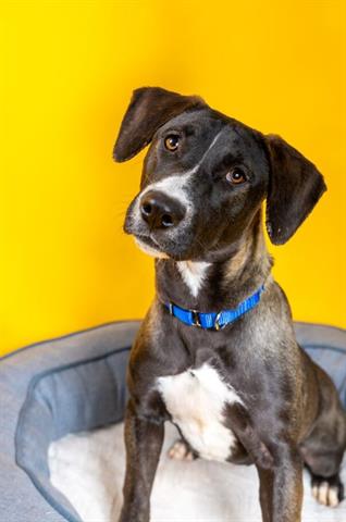 Meet Milky Way: ID A627204 thumbnail