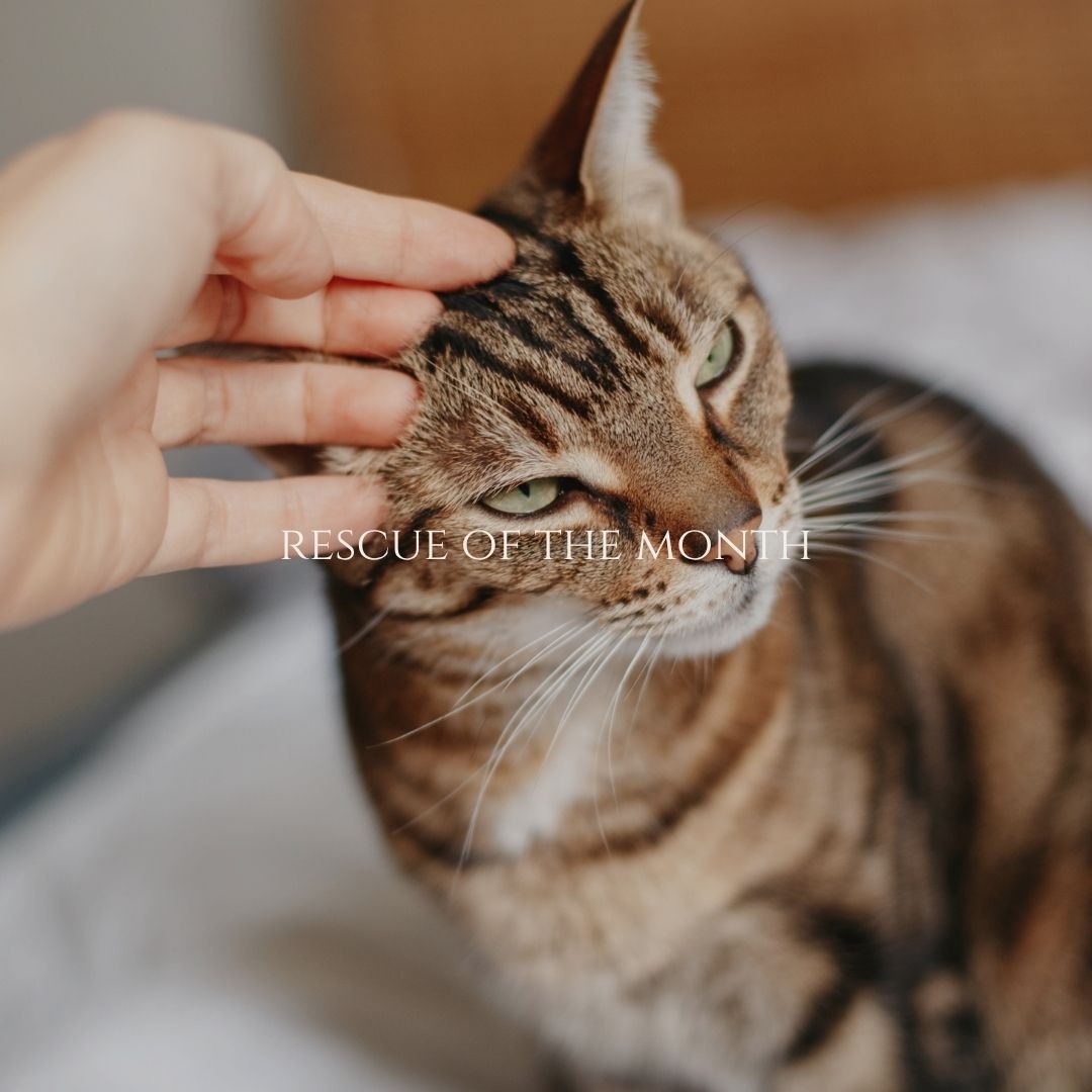 Learn more thumbnail