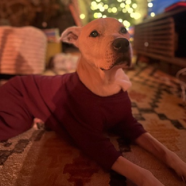 Meet Kassy: ID 177585 thumbnail