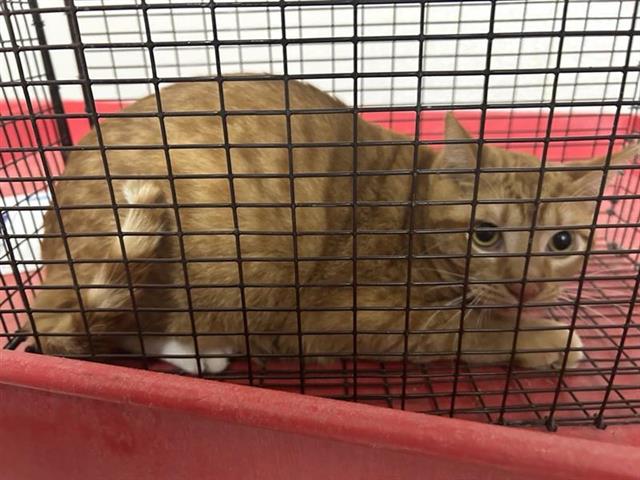 Meet Marlin: ID A649854 thumbnail