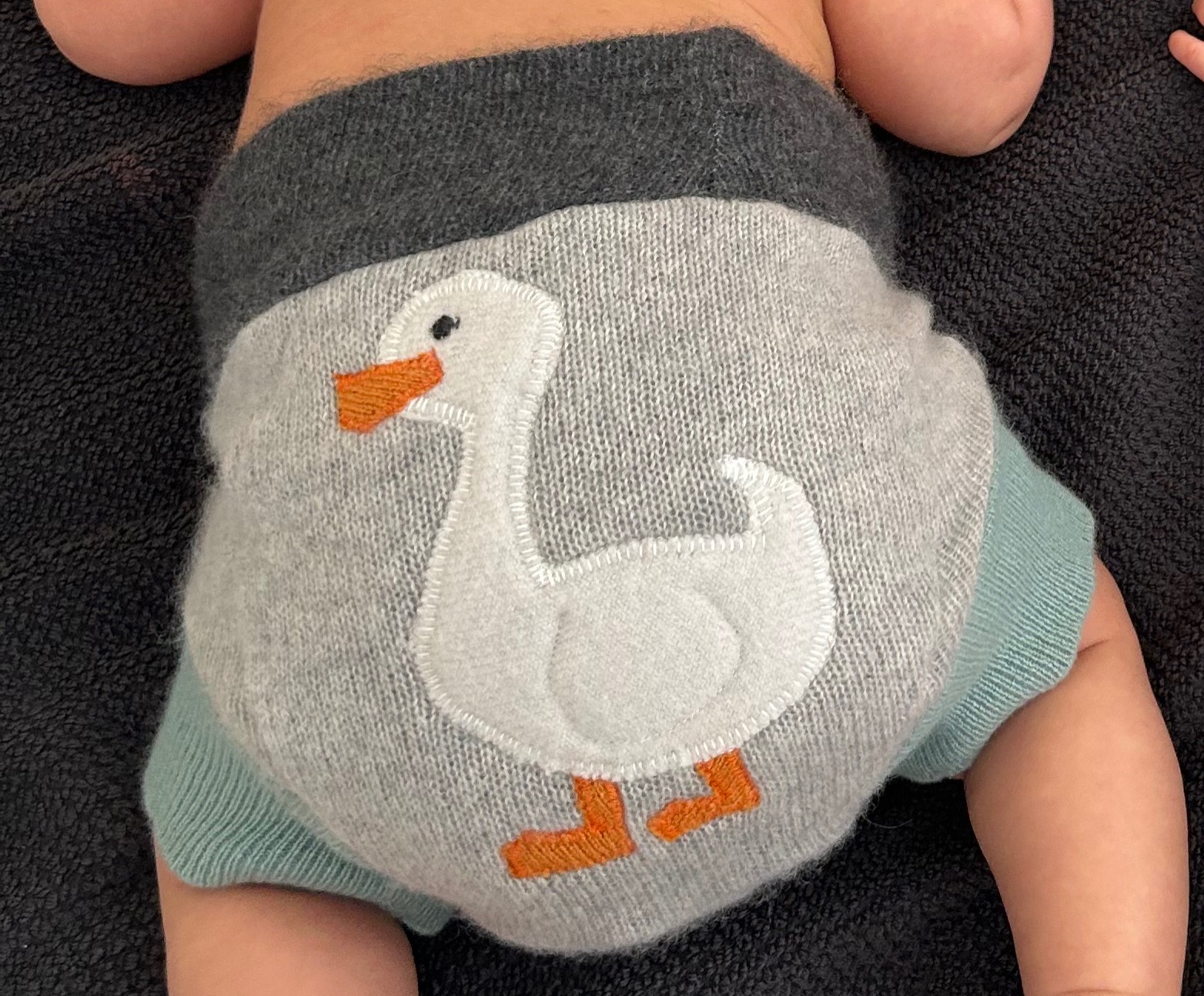 Wool Diaper Covers thumbnail