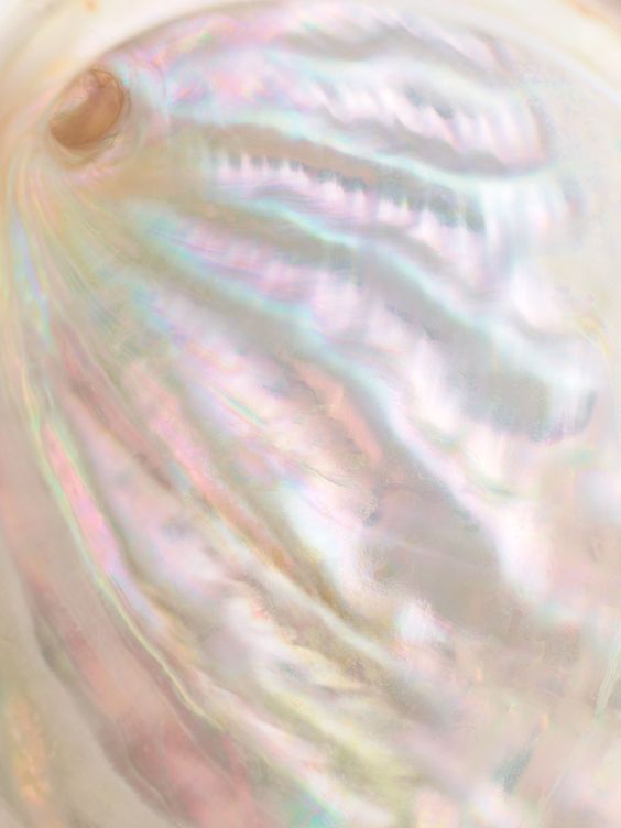 My Website  thumbnail
