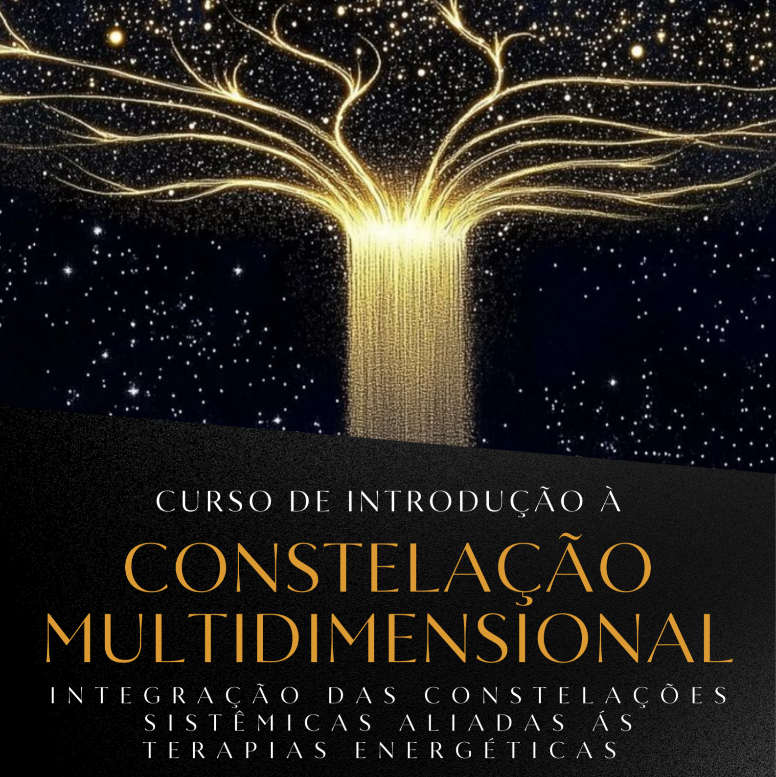 Curso de Formação de Terapeutas em Constelação Multidimensional thumbnail