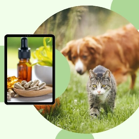 Pet's Health thumbnail