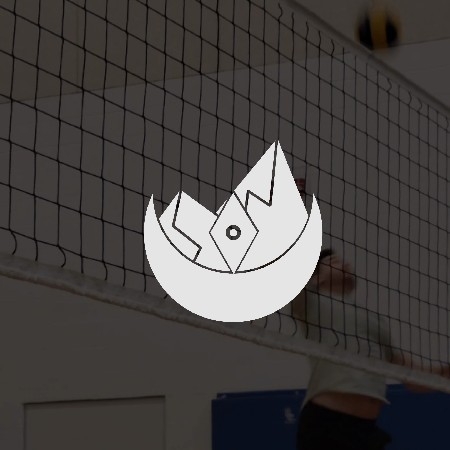Volleyball Personality/Mindset Quiz thumbnail