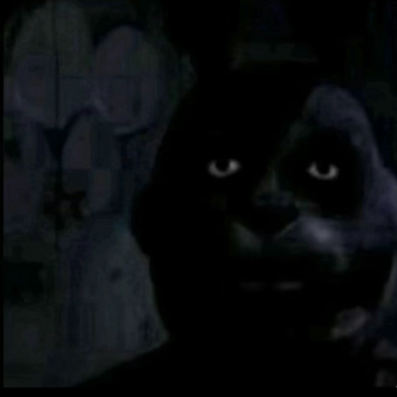 My Instagram  thumbnail