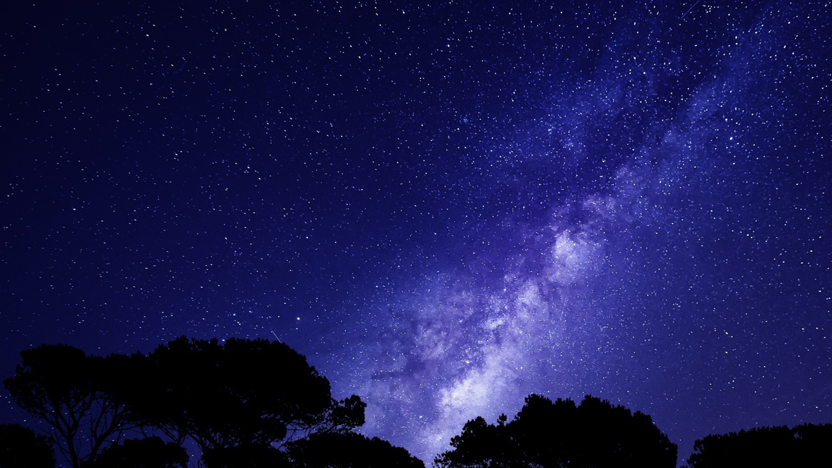 BioSite banner for @lookup