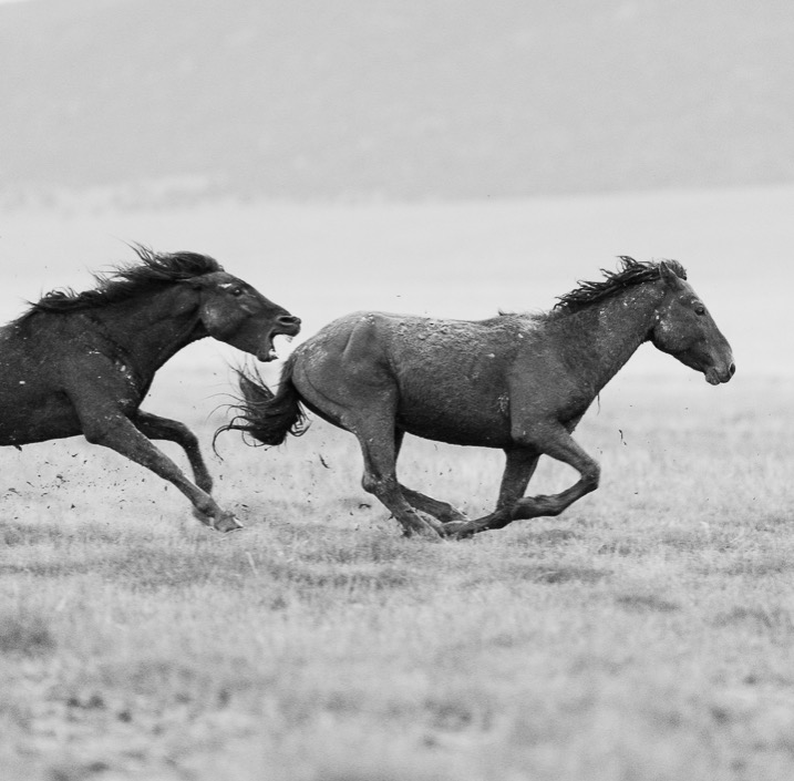 Selected Works thumbnail