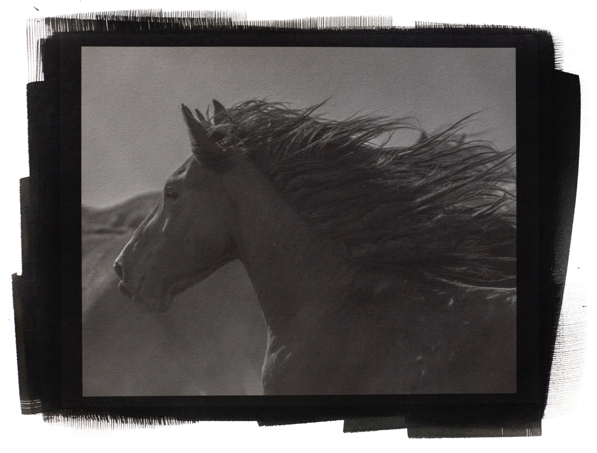 Process thumbnail