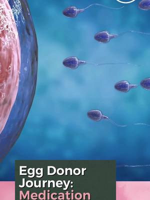 Our founder, Katie, shares her monitoring appointment, during which an internal ultrasound was completed to look at her 