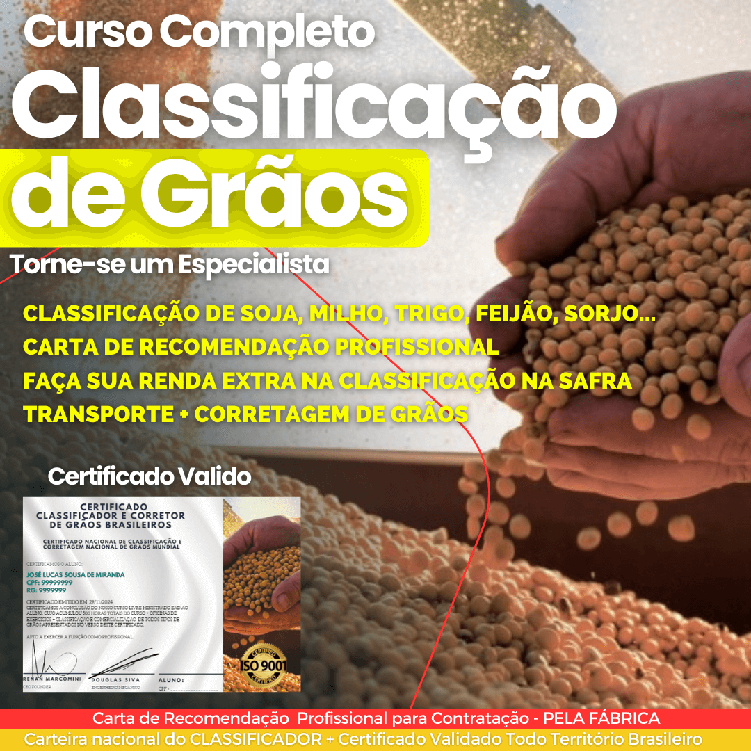 Classificador  | Corretor thumbnail