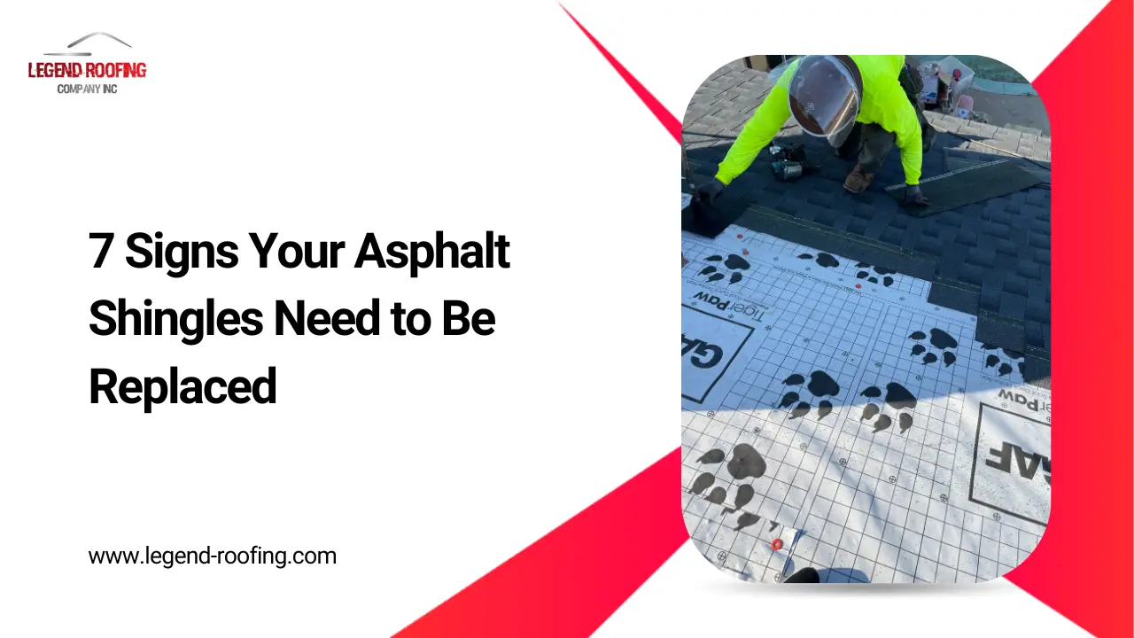 7 Signs Your Asphalt Shingles Need to Be Replaced thumbnail