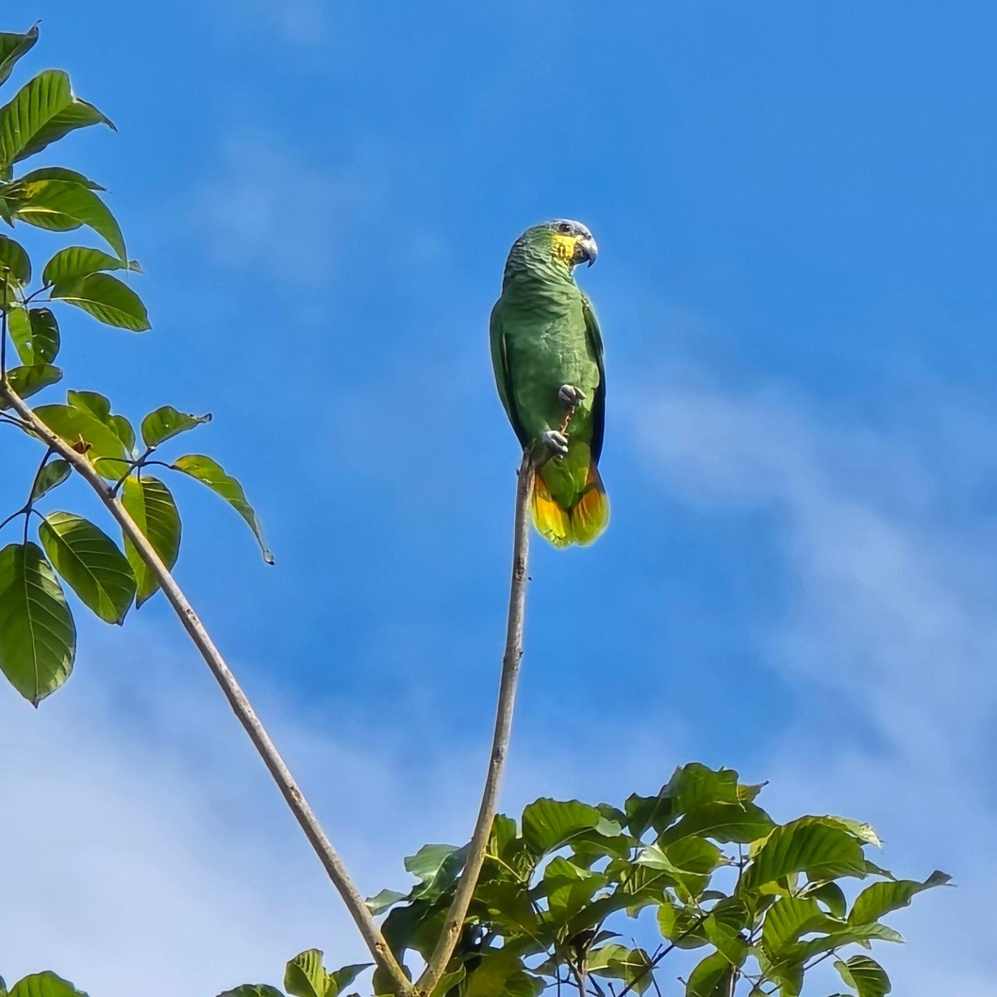 "Explora nuestros jardines y déjate sorprender por la variedad de aves que habitan aquí." 🦜