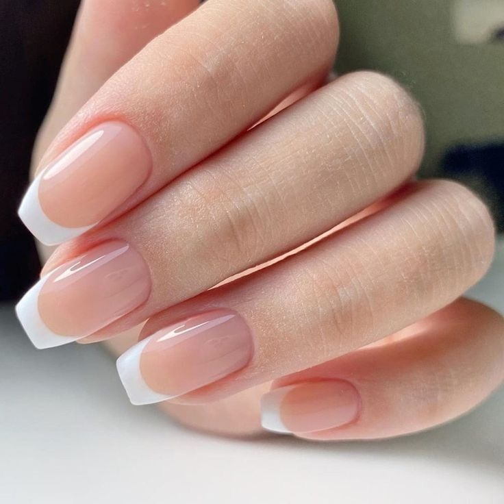 Fibra de Vidro thumbnail