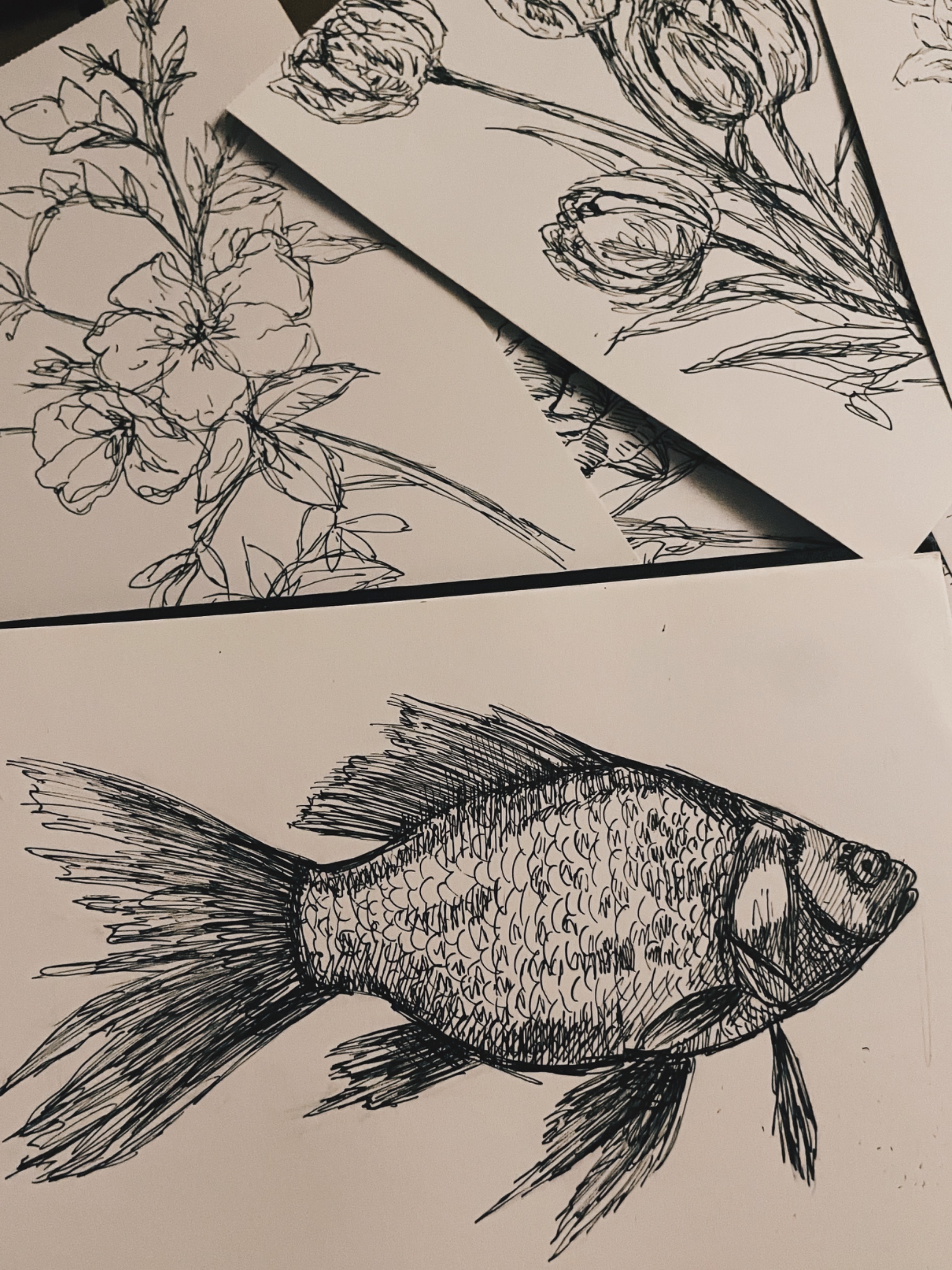 art supply storefront  thumbnail