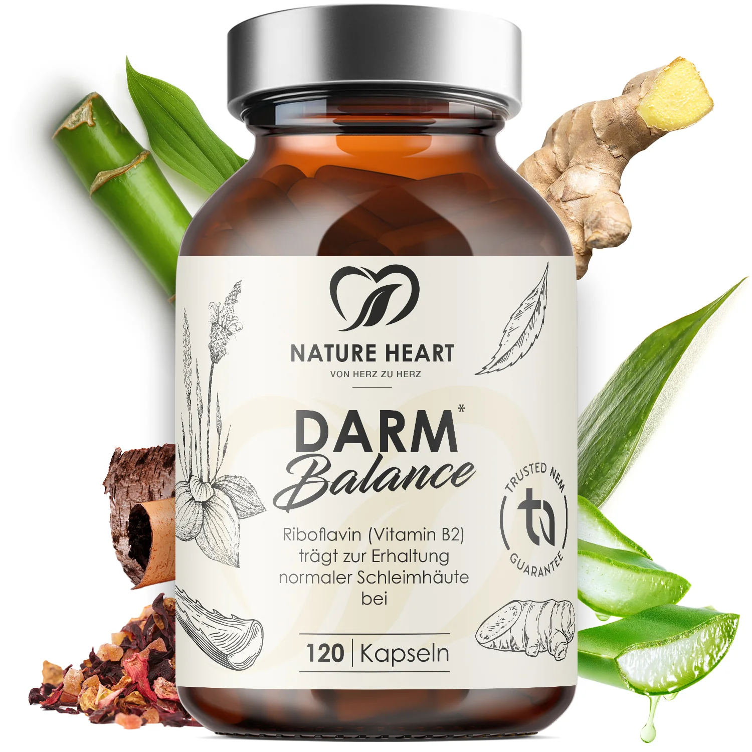 Darm Balance thumbnail