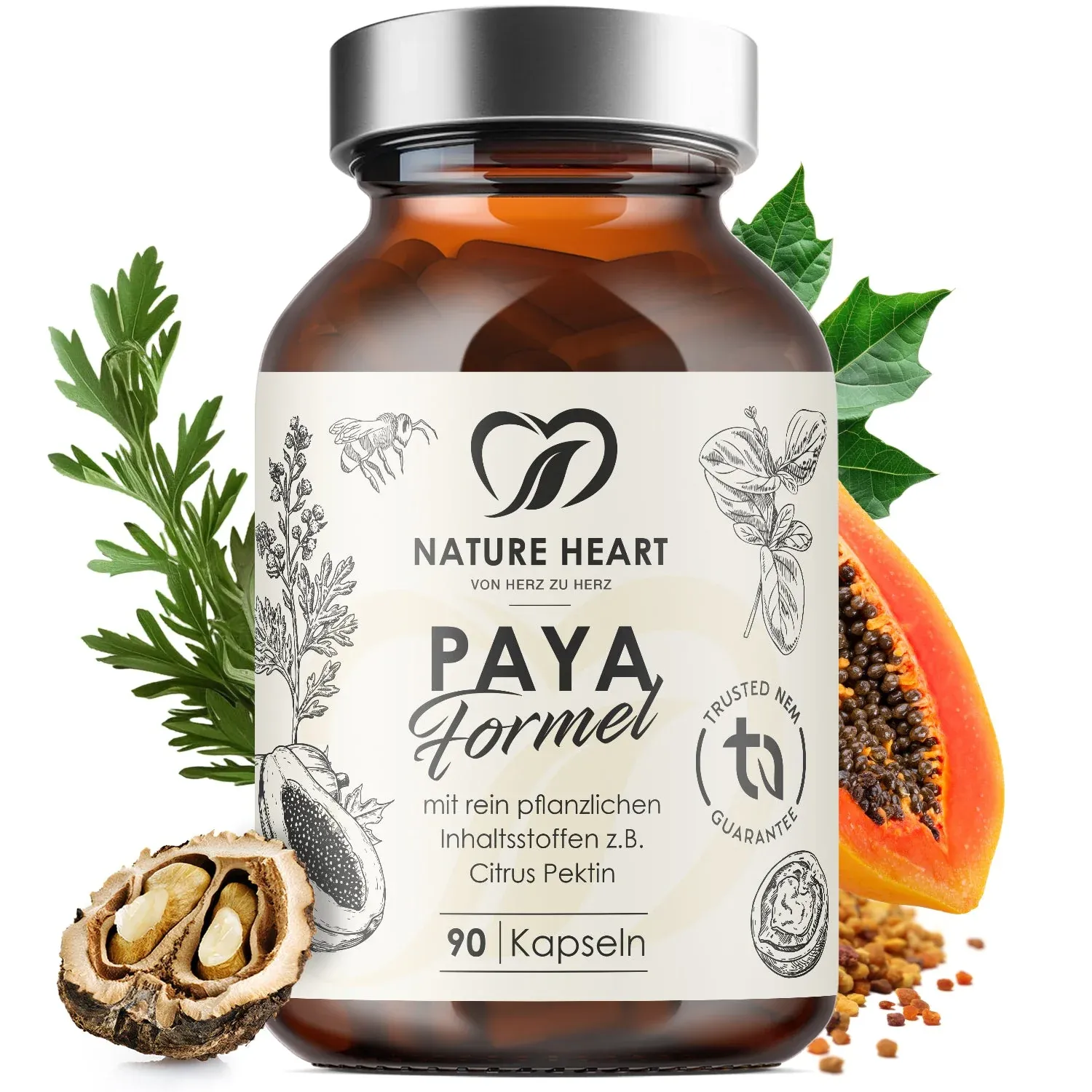 Paya Formel | limitiert thumbnail