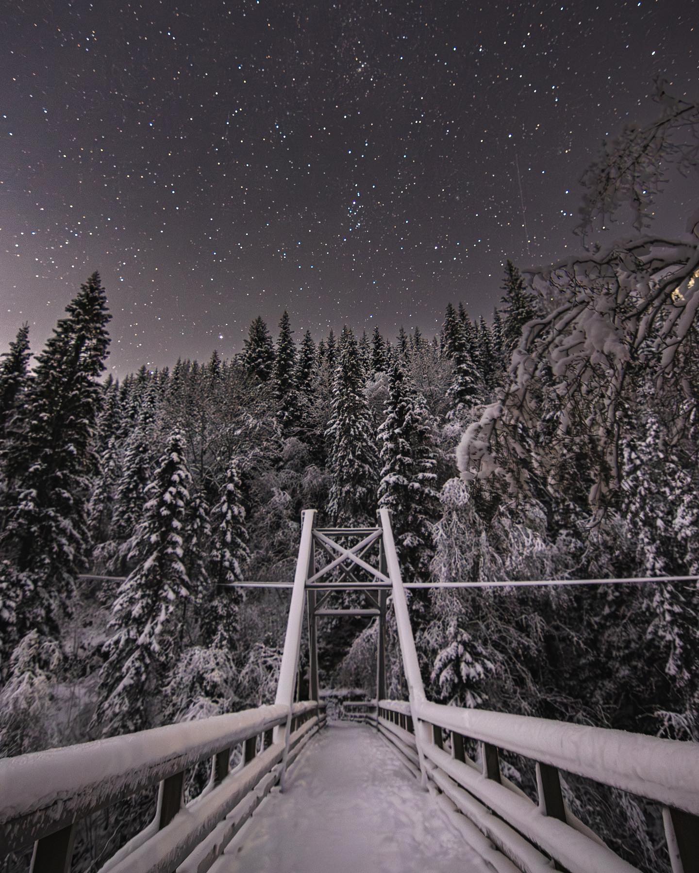 Hodelykttur🔦✨

Den mørke tia er over oss, og du synes kanskje det er litt vanskelig å komme deg ut på tur når det er så 