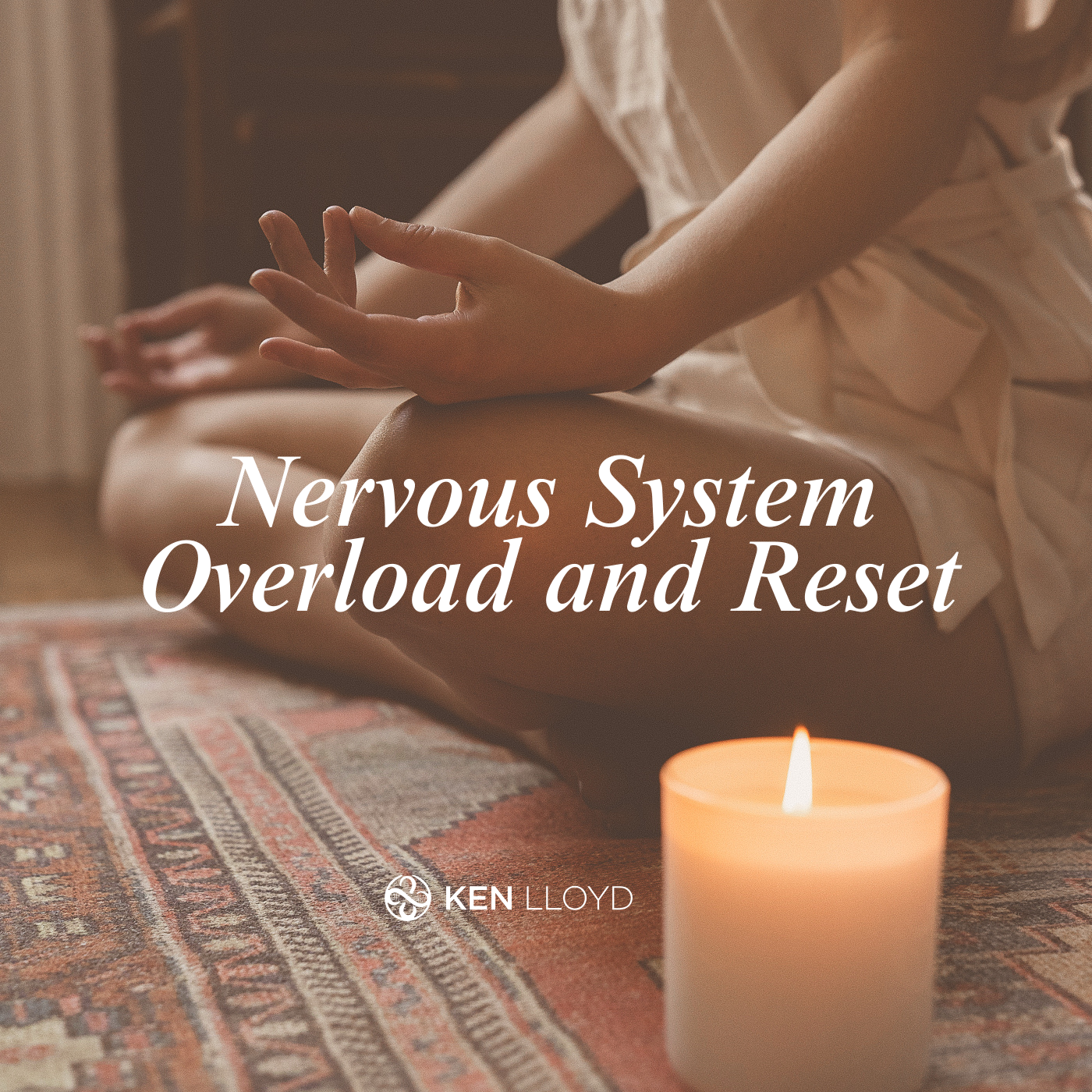 Nervous System Reset | $22 thumbnail