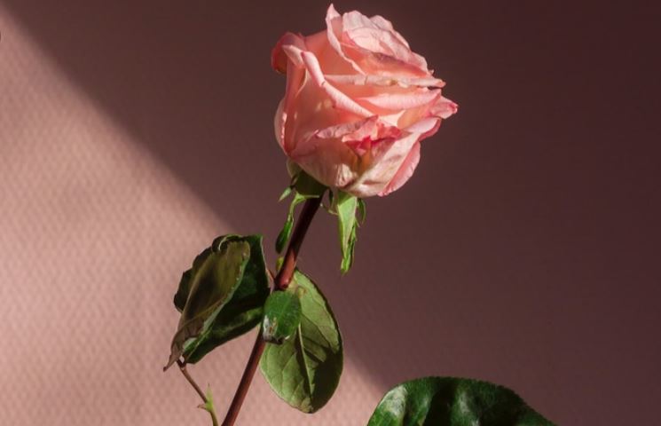 Ready for LOVE <3 Emotional Availability Assessment thumbnail