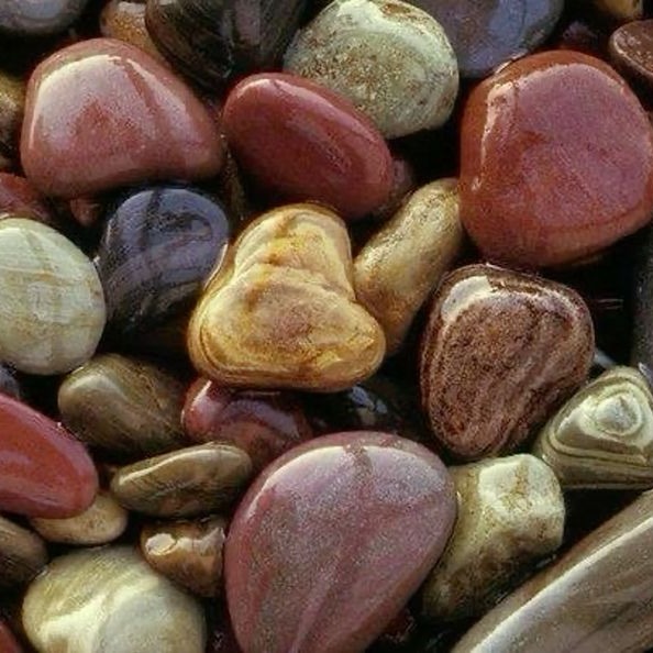 @miss-celestial-being thumbnail