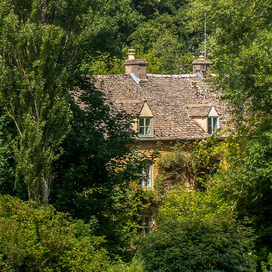 Read My Blog thumbnail