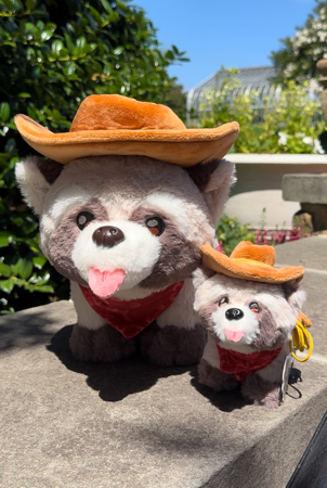 Adopt Rocky & Baby Rocky Here 🦝🫶 (Baby Rocky has free shipping!!) thumbnail