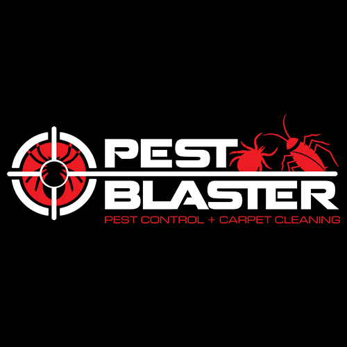 Pest control service — Bio Site