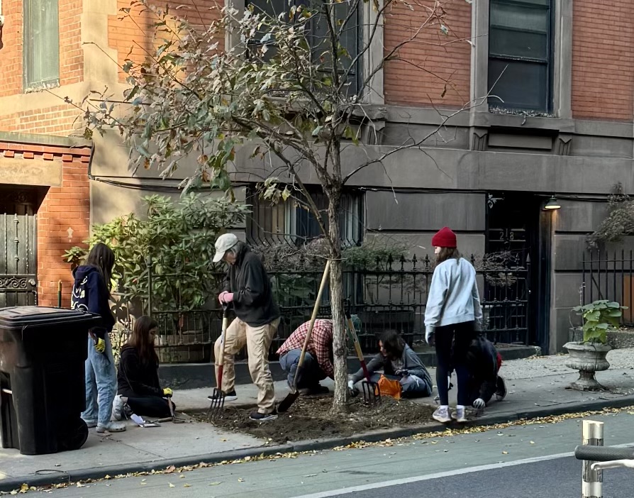 Premium Content: Forest for All NYC wants to build an urban forest by 2035 thumbnail