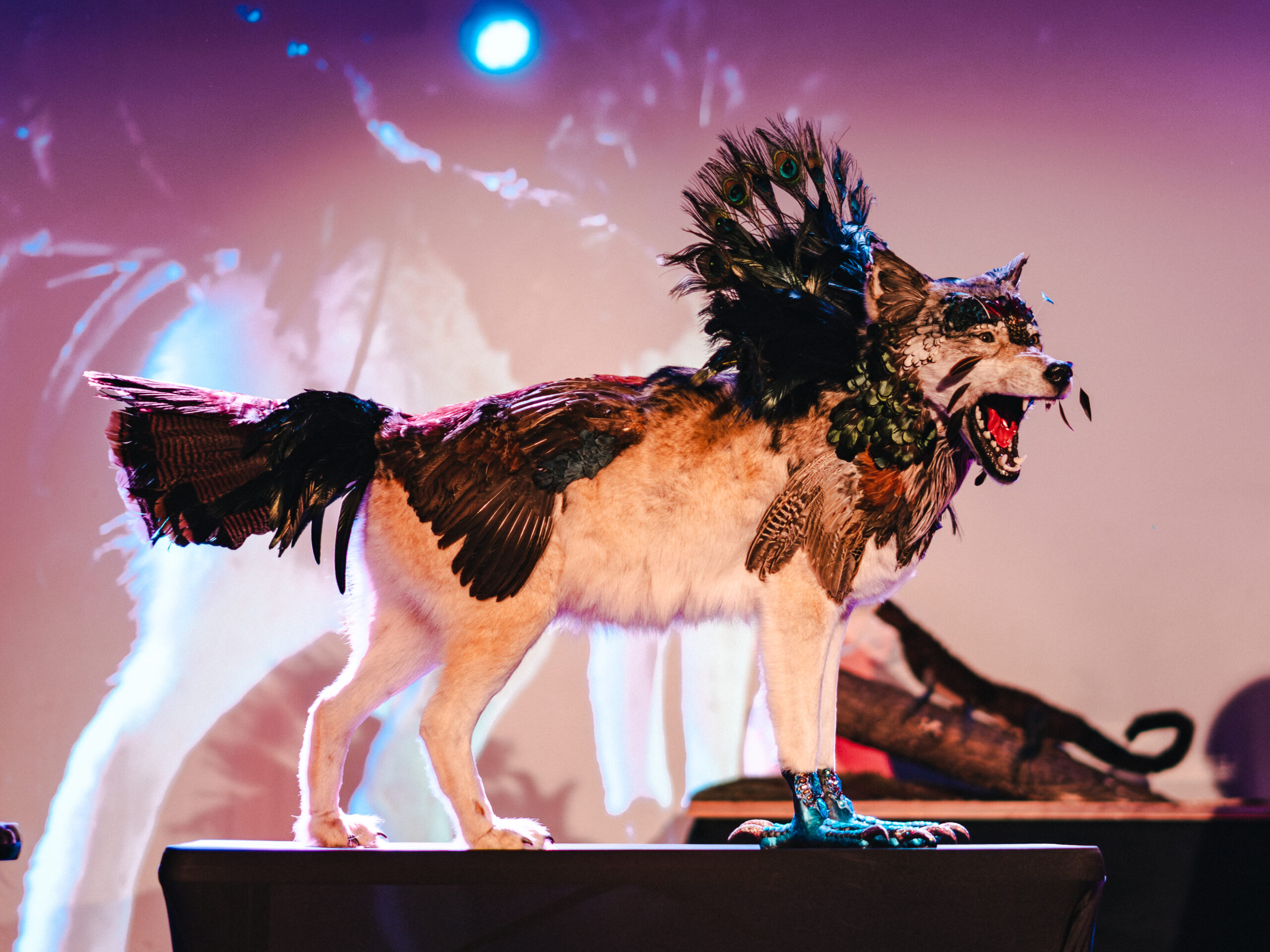 Taxidermy comes to life in Brooklyn thumbnail