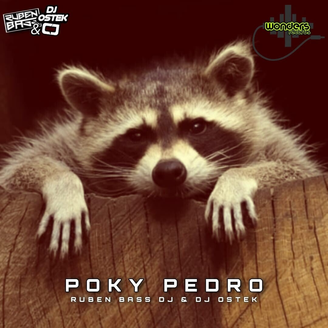 wonders records thumbnail