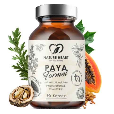 Paya Formel  thumbnail
