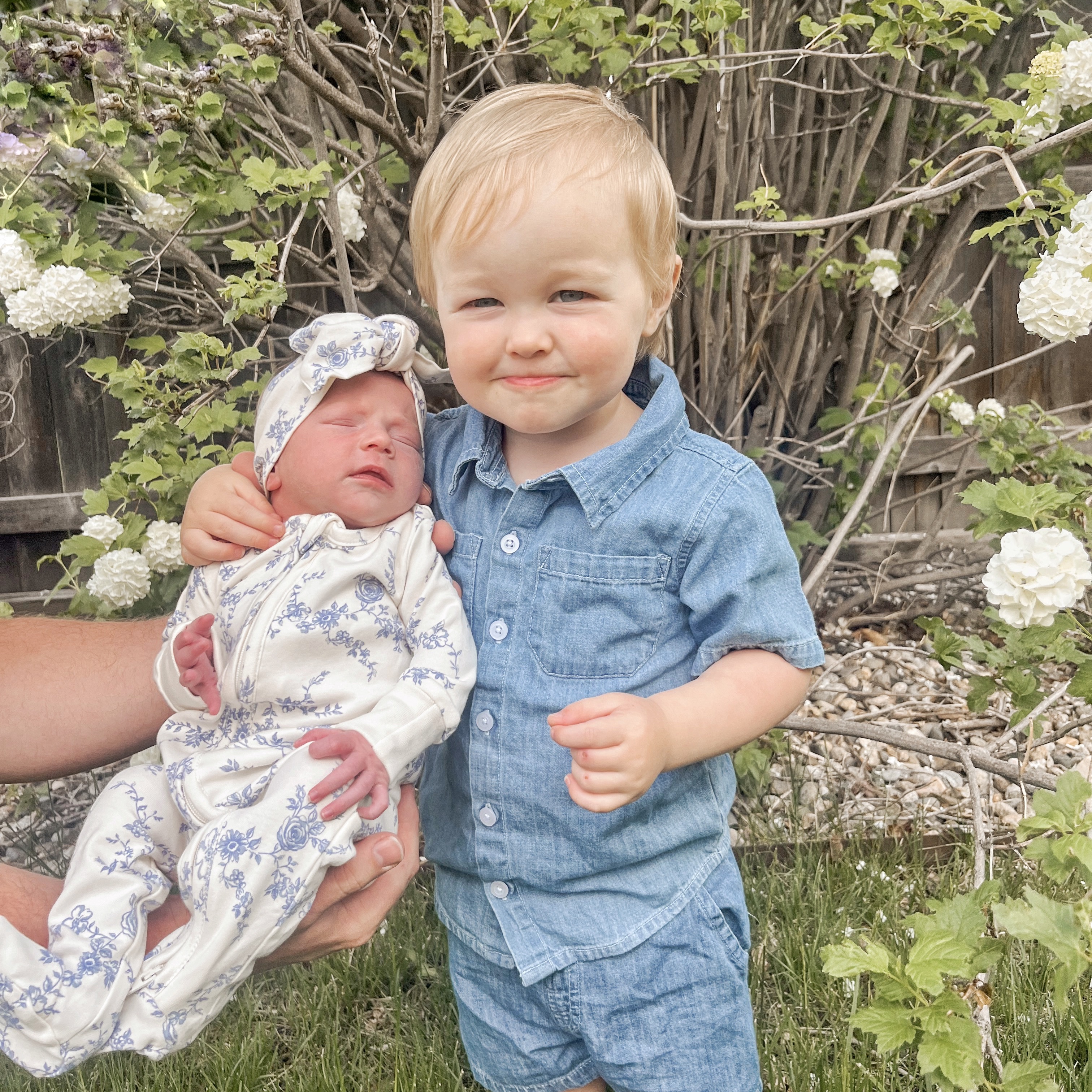 save 15% at Colored Organics! (auto-applied at checkout) thumbnail