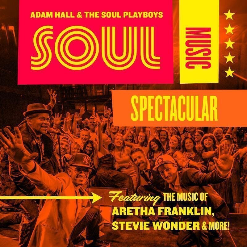 FRINGE - The Soul Music Spectacular thumbnail