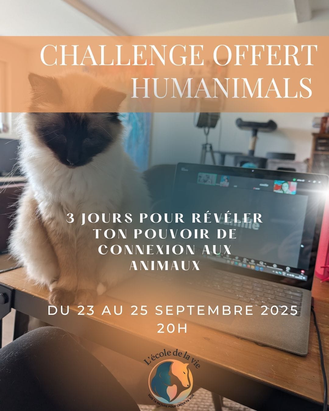 Inscription Gratuite au Challenge HUMANIMALS du 22/09 thumbnail