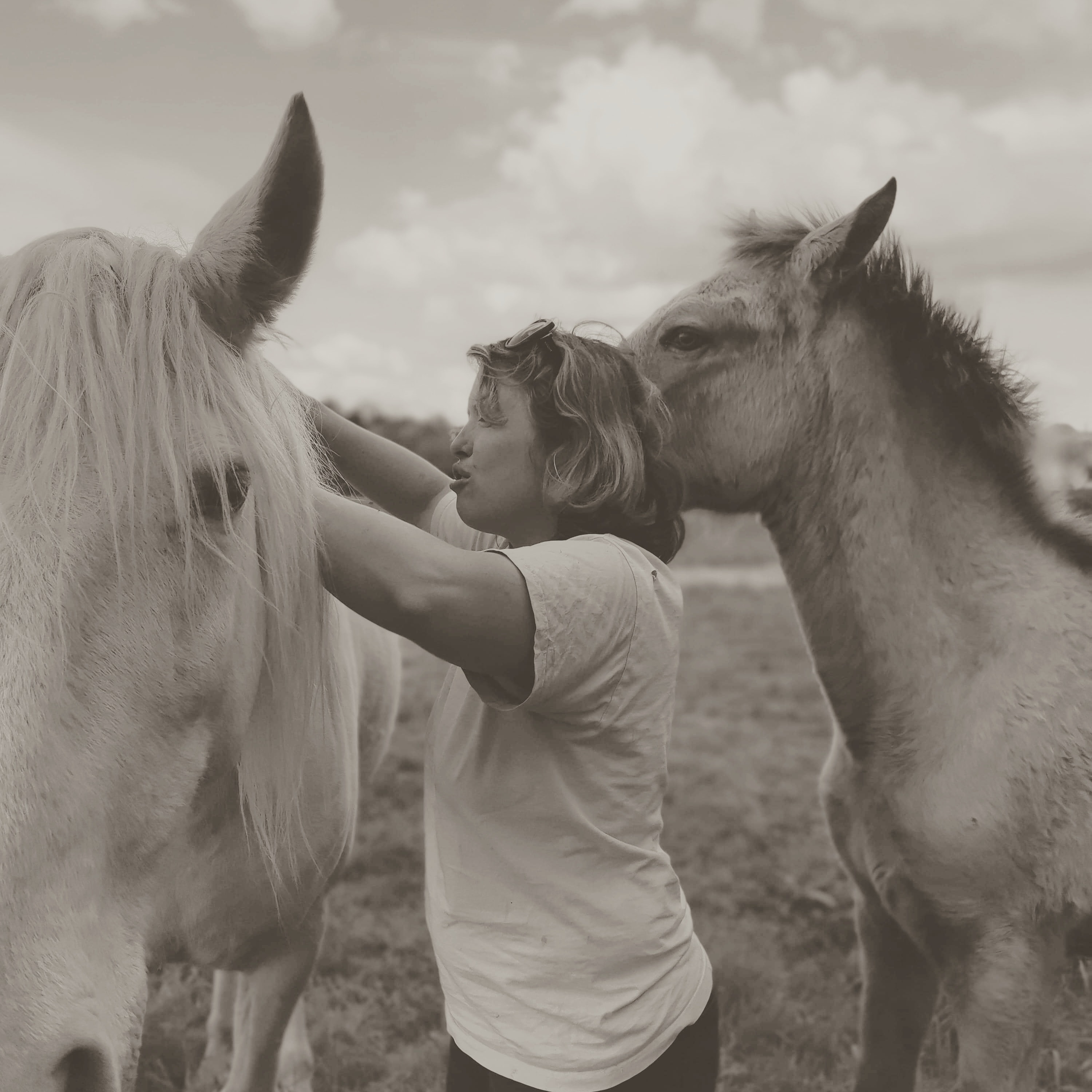L'Association de protection animale thumbnail