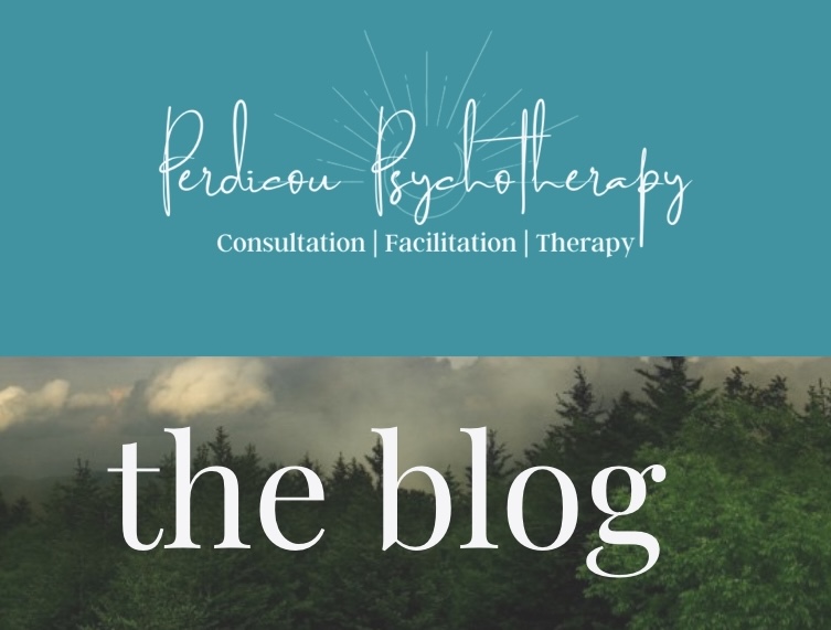 the blog  thumbnail