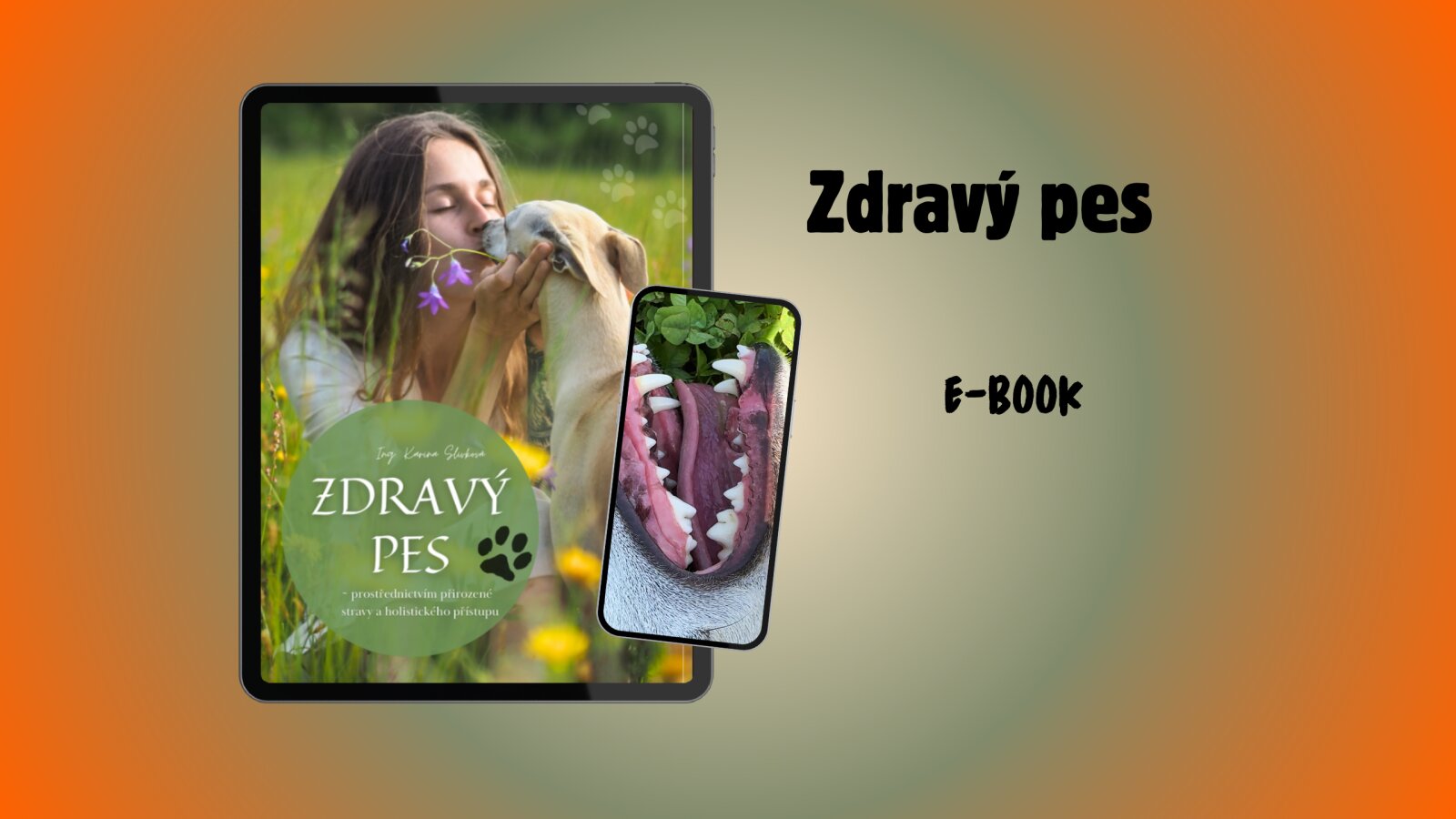 Ebook: Zdravý pes thumbnail