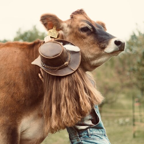 Členství Forendors thumbnail