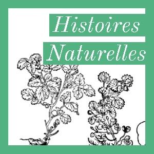 Podcast Histoires naturelles  thumbnail