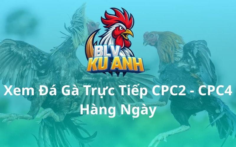 BLV Ku Anh – Đá Gà Trực Tiếp Bồ Gà CPC2 Và CPC4 Hàng Ngày thumbnail