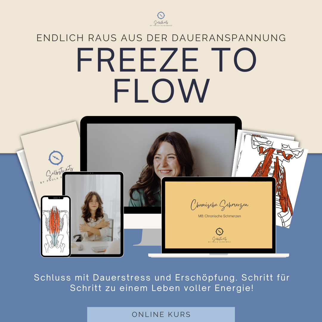 599€ Freeze to Flow thumbnail