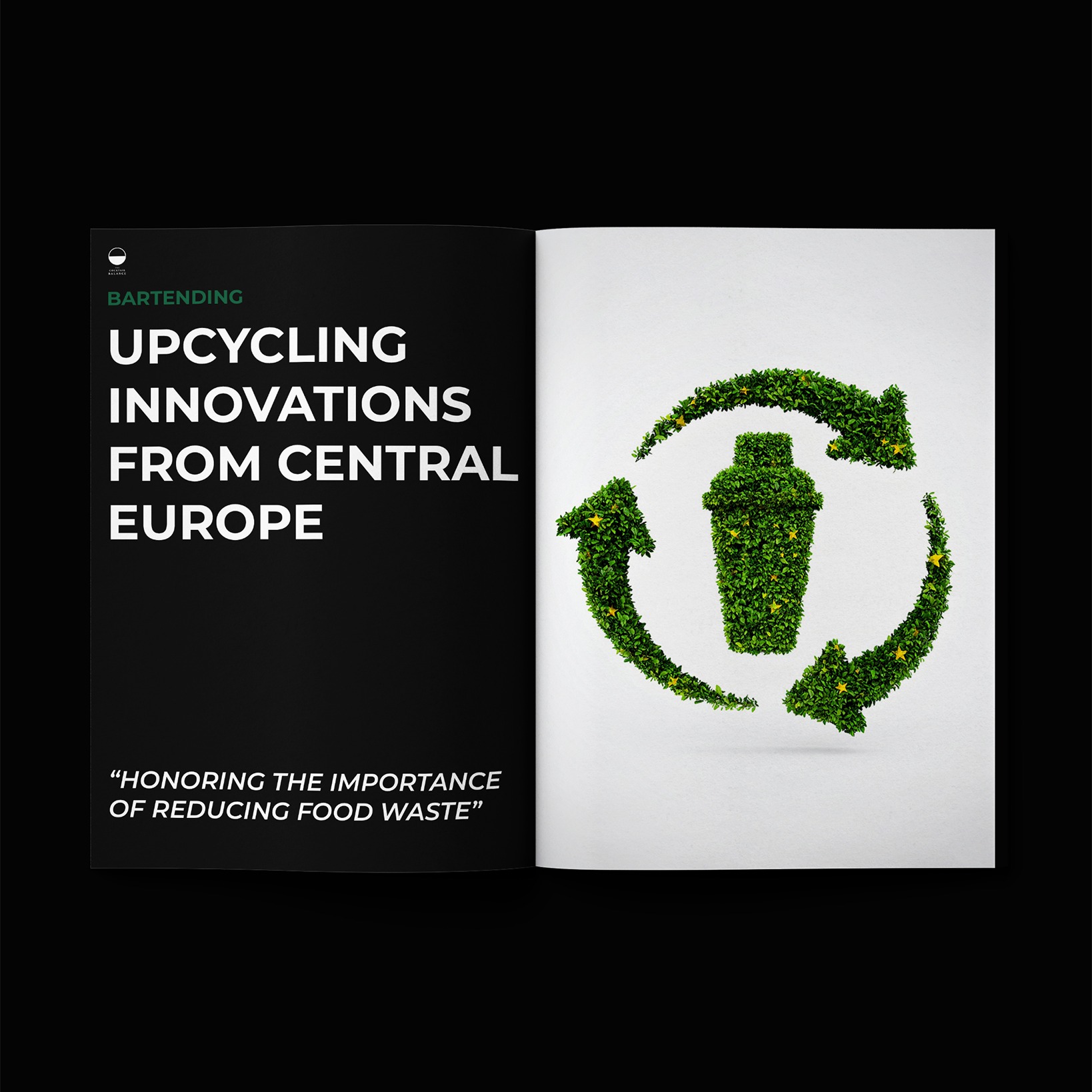 Raising the Bar: Upcycling Innovations from Central Europe thumbnail