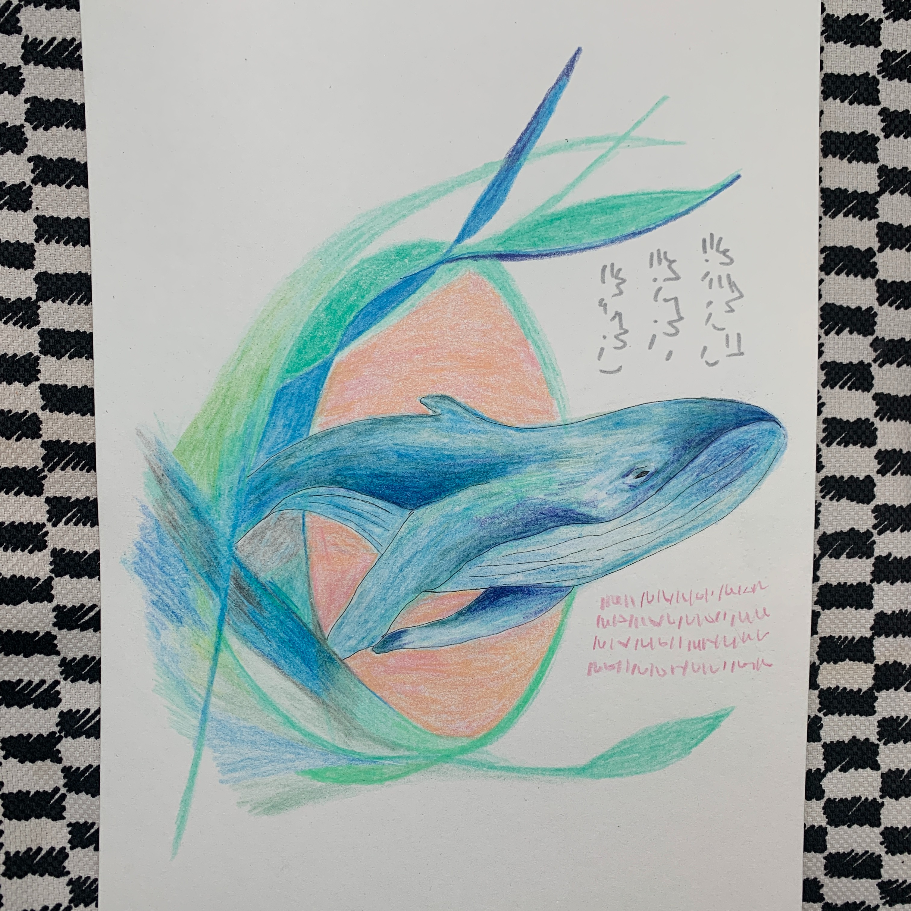 Whale Transmission, Light Language, Spirits Animal thumbnail