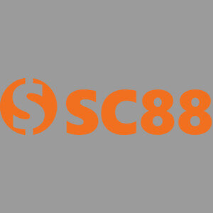 sc88vn1com Profile and Collections - Wakelet thumbnail
