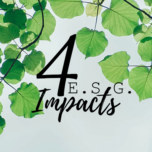 4 ESG IMPACTS | Accueil thumbnail