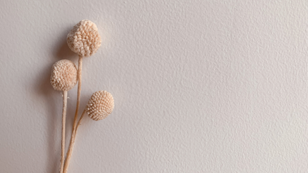 The Lumina Hive thumbnail